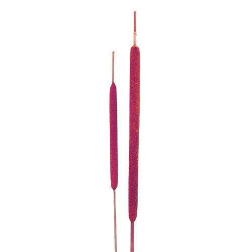 Schilfkolben D0,8-1,3H20-25cmL50cm erika