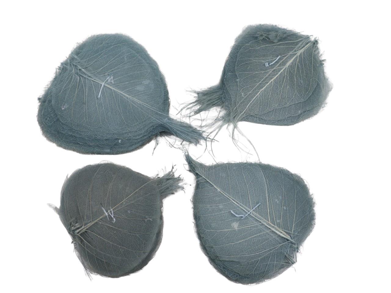 Skeleton-Blätter 6-10 cm sort. 200 Stück grau