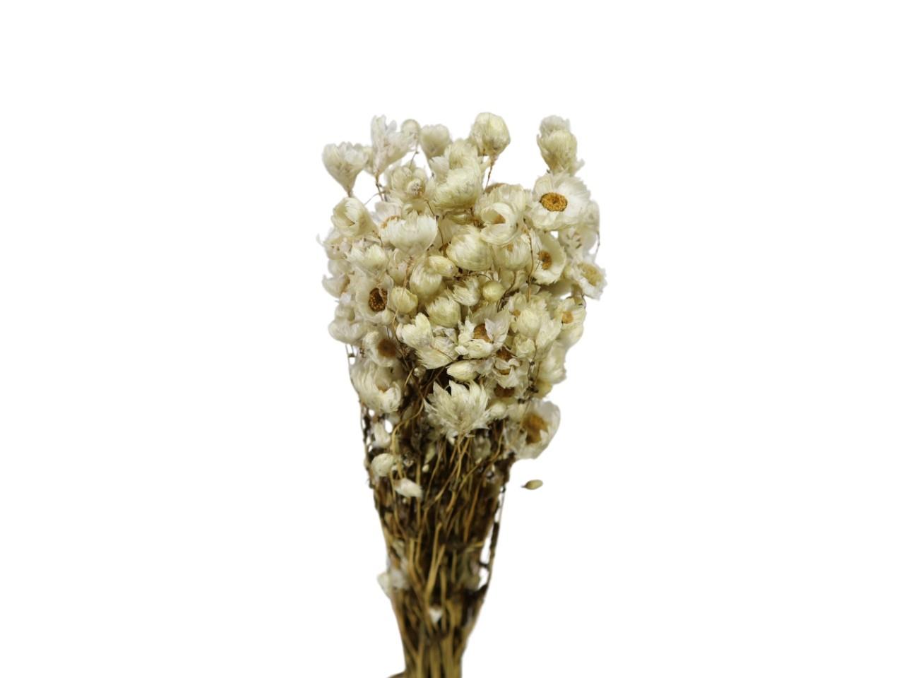 Kamillenbündel 50g weiß L65cm