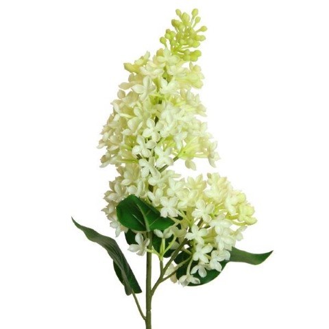 Flieder  soft touch  75cm creme