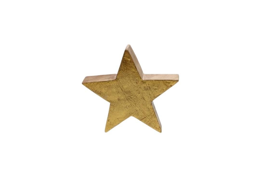 Stern stehend Mangoholz gold D15x3,5cm