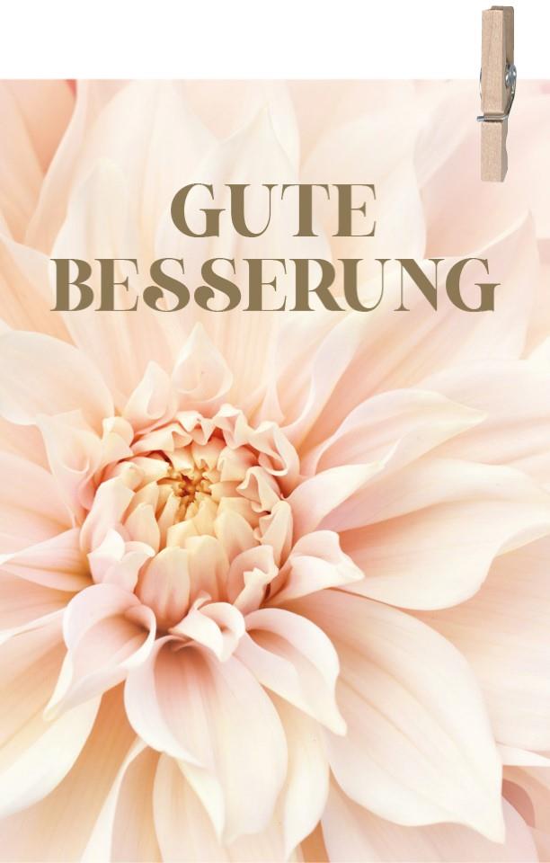 Minikarten Pampas Gute Besserung 7,5x5 cm