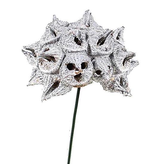 Spidergumkopf a. Draht D6-8cm white washed