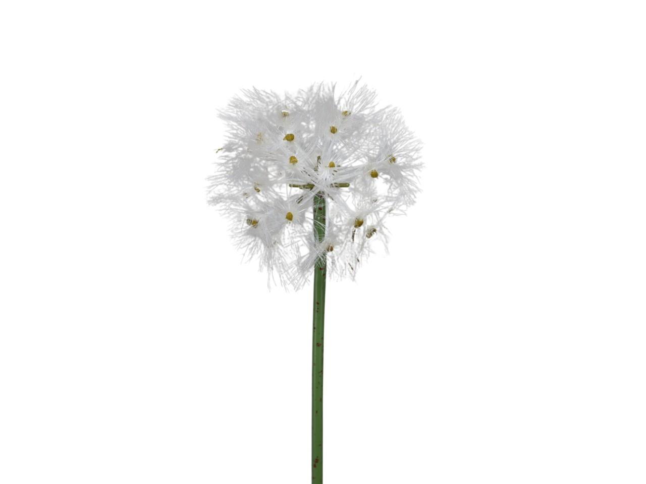 Pusteblume weiß L68cm D10cm