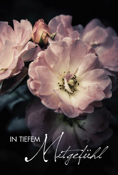 Trauerkarten Consolationl 11,5x17 cm