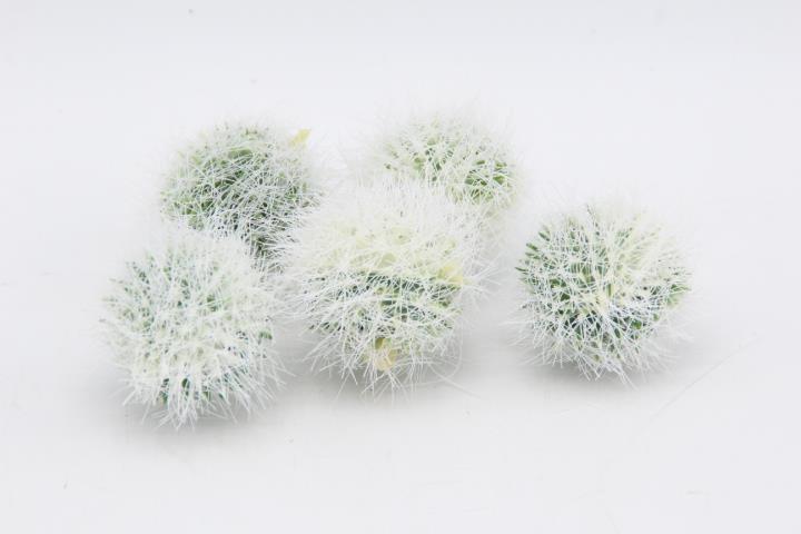 Allium-Kugel 3cm, weiß-grün NETTO