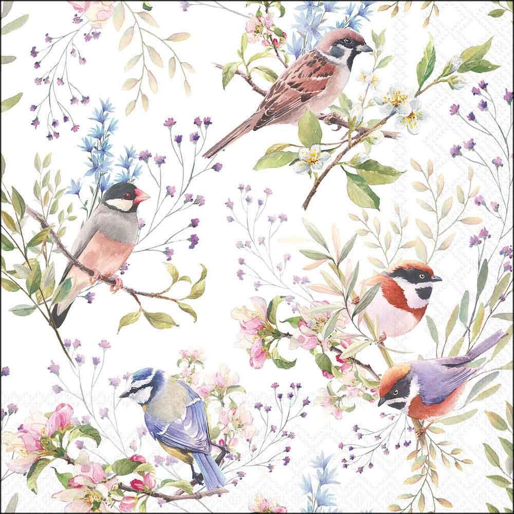 Serviette 33x33 cm Busy Birds