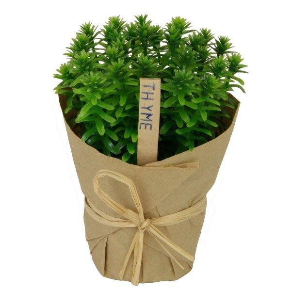 Thymian-Topf in Papier grün D7cm NETTO