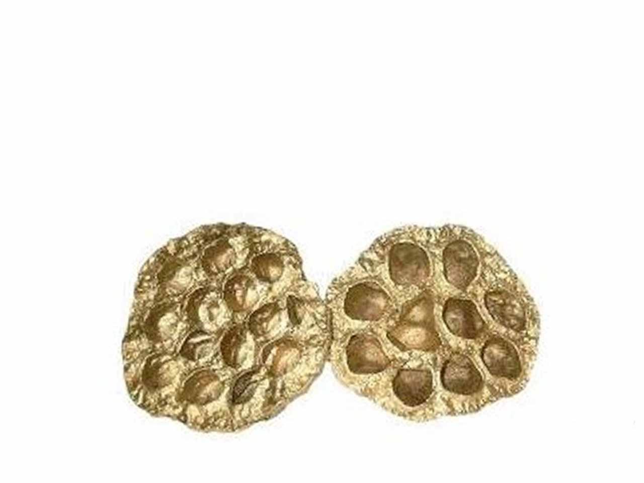 Lotos gold D6-8cm
