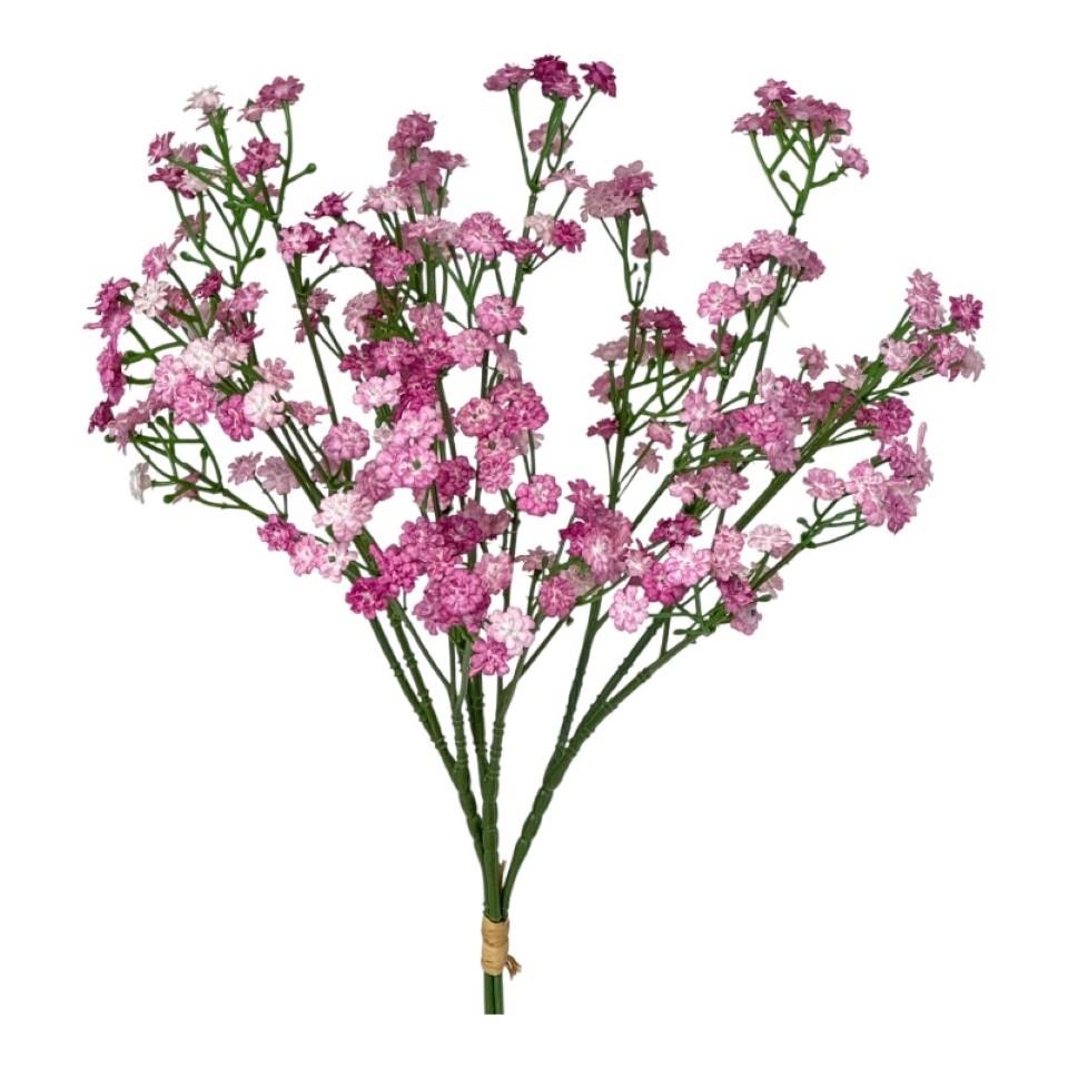 Gypsophilia Bund  3fach rosa-purple L54cm