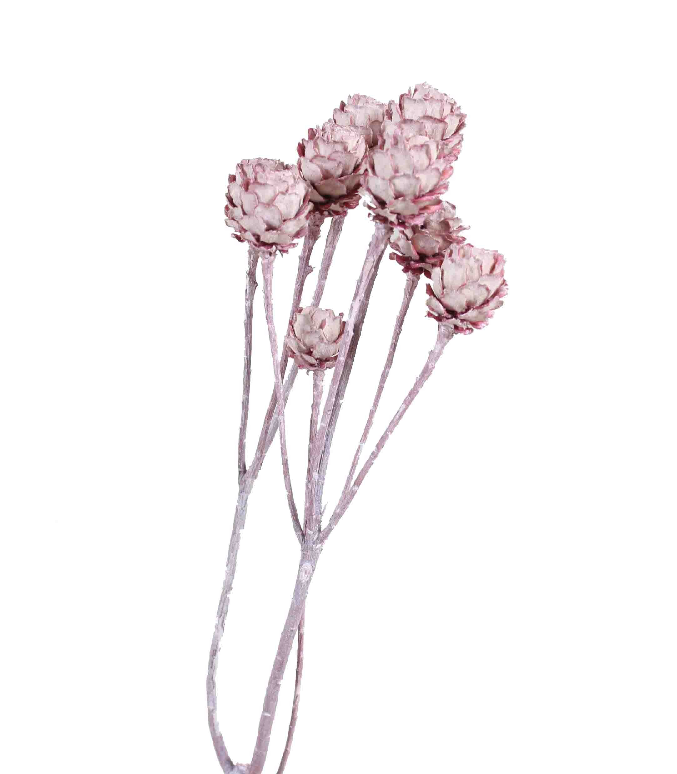 Salignum 7+Köpfe D2-3L30-35cm altrosa frosted