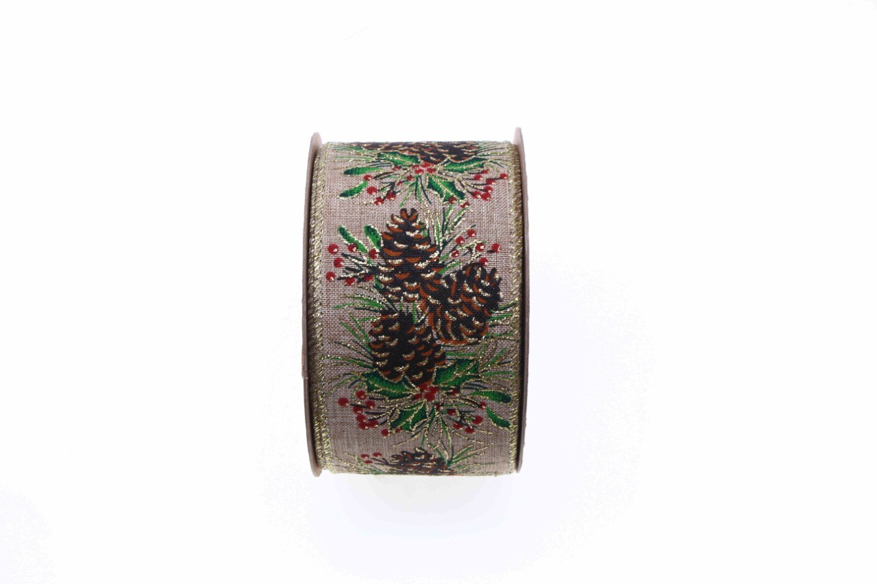 Band Ilva 60 mm 10 Meter natur 425