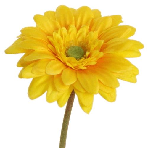 Gerbera Mini D7cm H47cm gelb