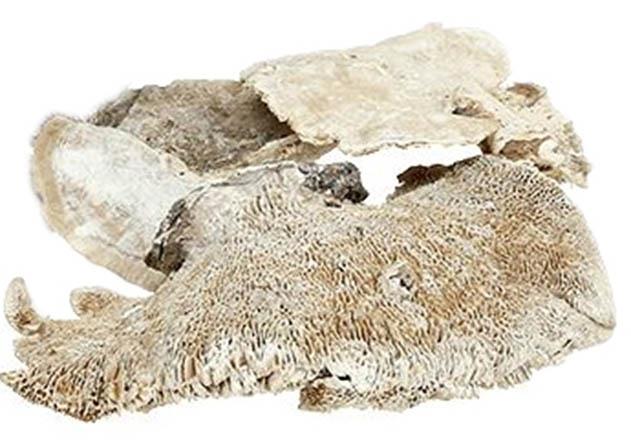 Baumschwamm 2,5kg white washed
