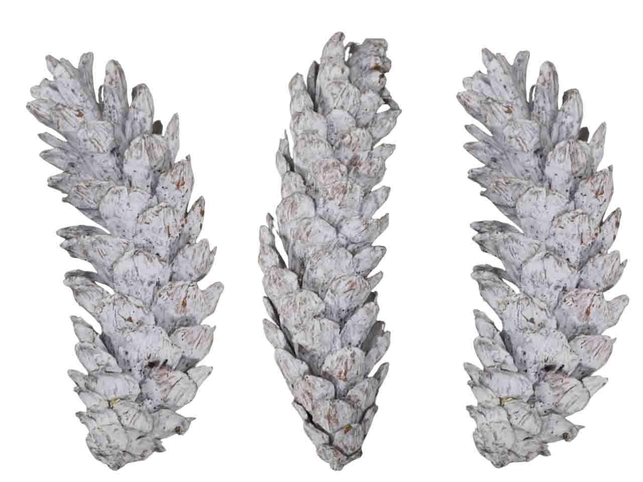 Zapfen Strobus mixed L10-15/15-20cm white washed