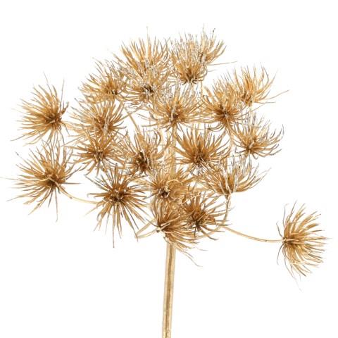 Schafgarbe gold L75cm