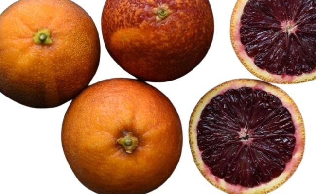 ekaflor Orange Moro Tavola Bio 5-6cm 1 Kiste mit 7kg