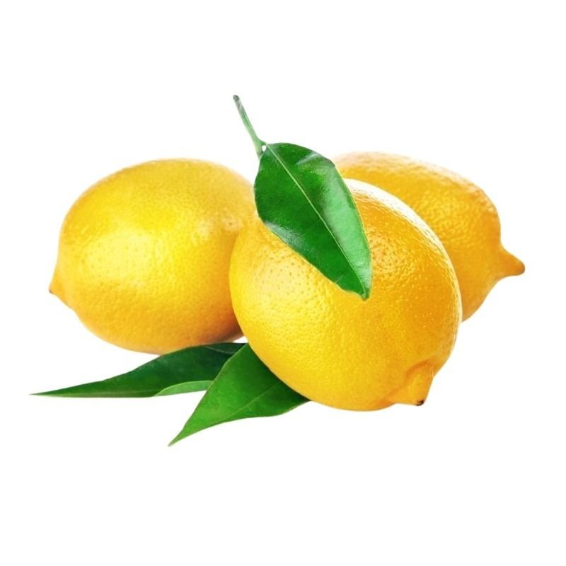 ekaflor Zitrone Bio 3-5cm 1 Kiste mit 7,5kg