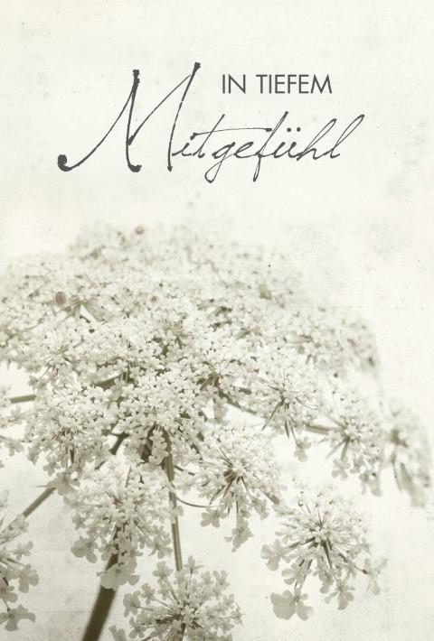 Trauerkarten Chique In tiefem Mitgefühl  11,5x17 cm