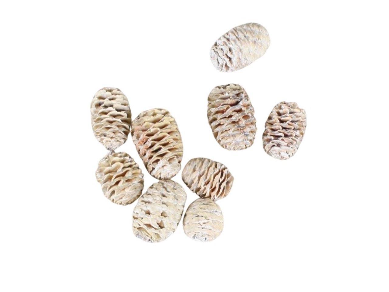 Zapfen Sabulosum 1kg white washed