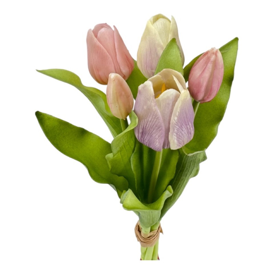 Tulpenbund  soft touch  x 5 lila-rosa