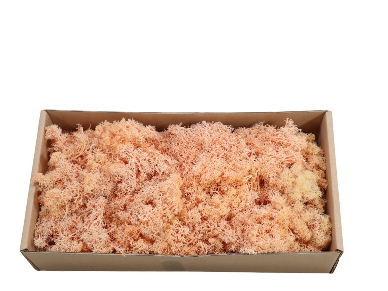 Islandmoos-Finland 500gr. pfirisch