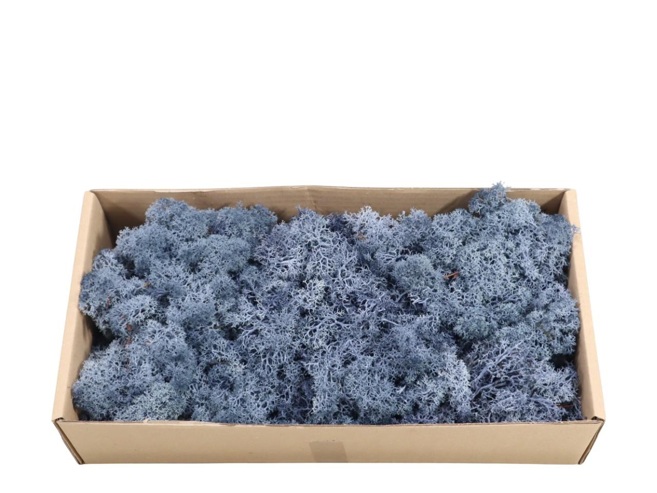 Islandmoos-Finland 500gr. silbergrau