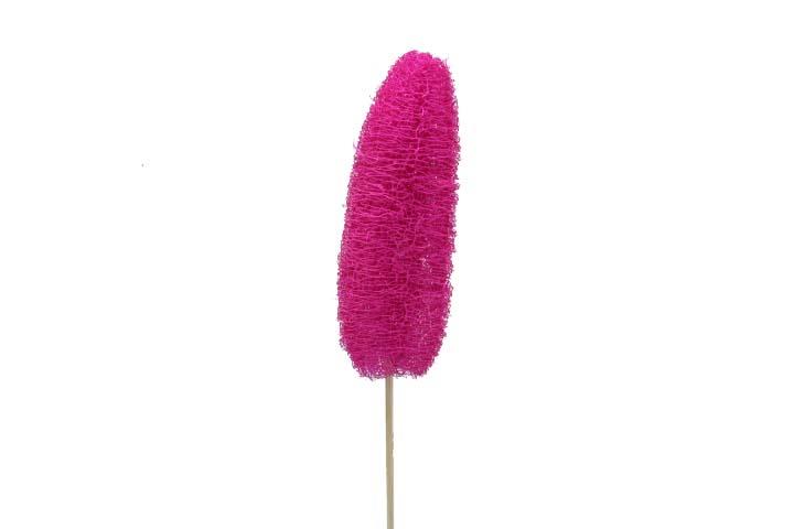 Luffa erika gestielt 14-20cm