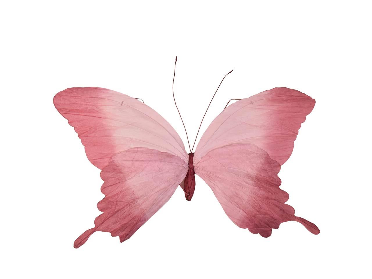 Schmetterling hängend Papier rosa D50x30cm