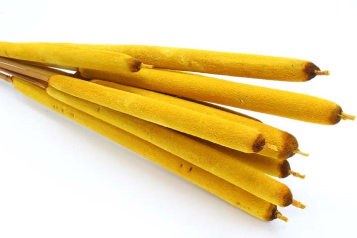 Schilfkolben geraspelt extra sonnengelb