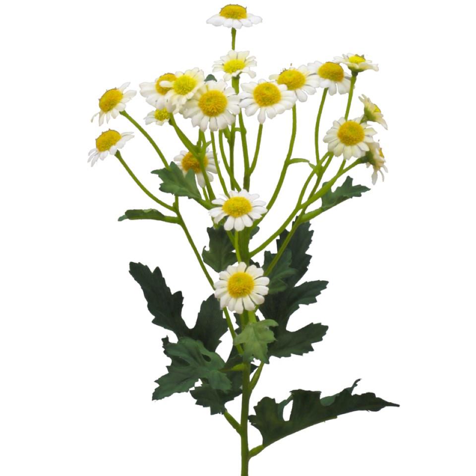 Kamille Zweig weiss H46cm