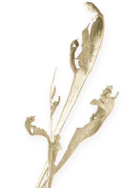 Geweihholz L40-70cm gebleicht