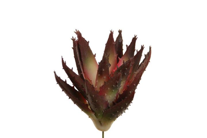 Agave Pick 17cm burgund-braun