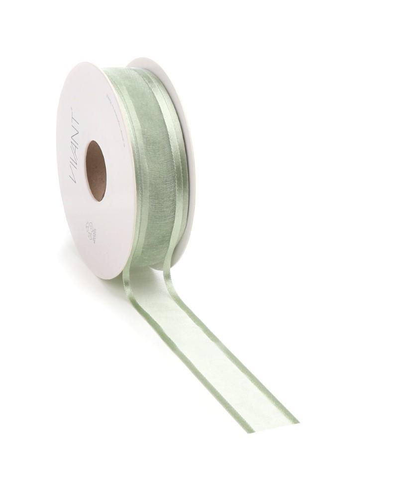 Band Prego Organza/Satinrand 22 mm 25 Meter mint Farbe 60