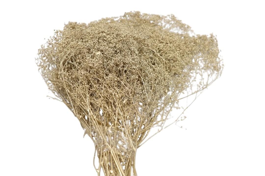 Gypsophila mini gold 100gr.