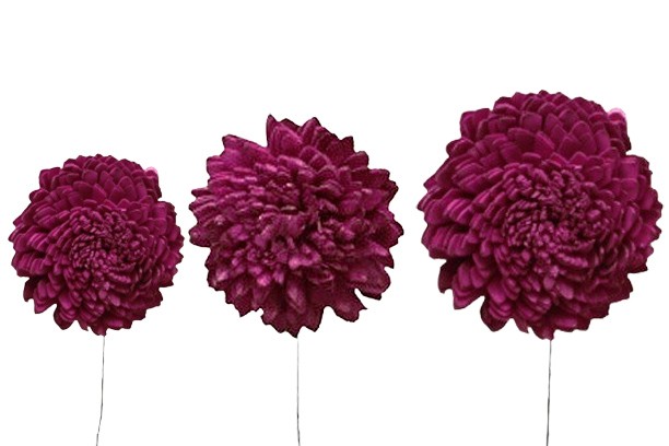 Zinie Sola am Draht 6+8+10cm sortiert je 12St. brombeer