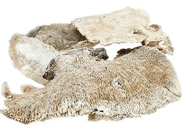 Baumschwamm 2,5kg white washed