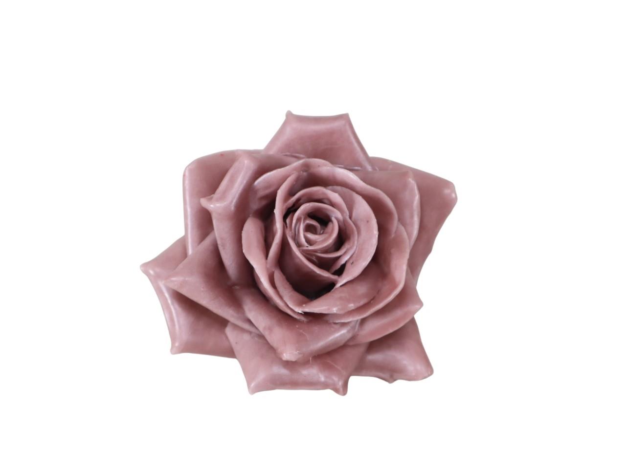 Rosenblüte Wachs 10cm mauve in Holzbox