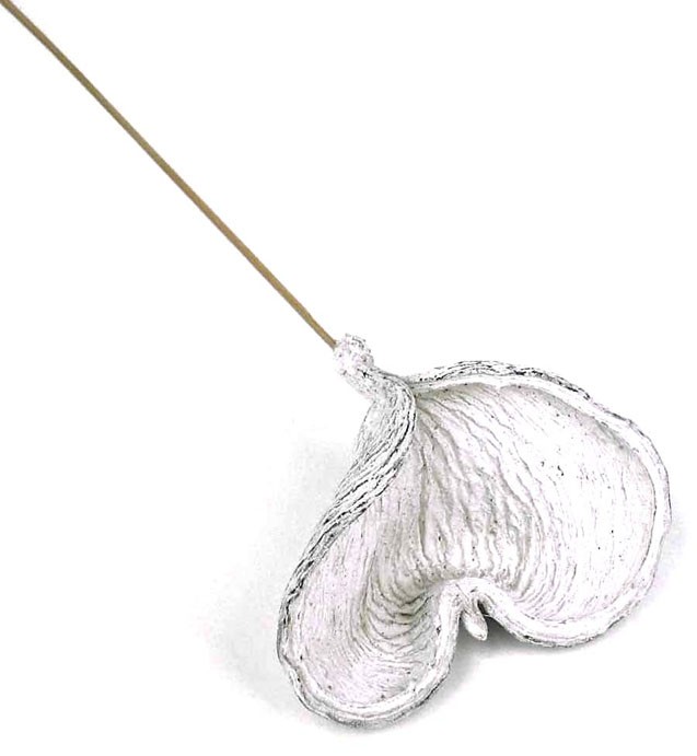 Badam gestielt white washed