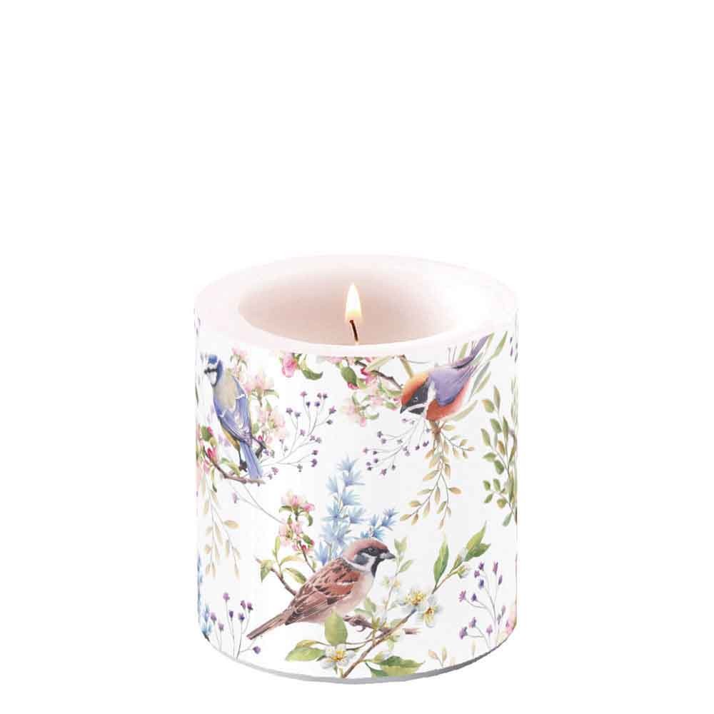 Kerze H 9 cm D 7,5 cm Busy Birds