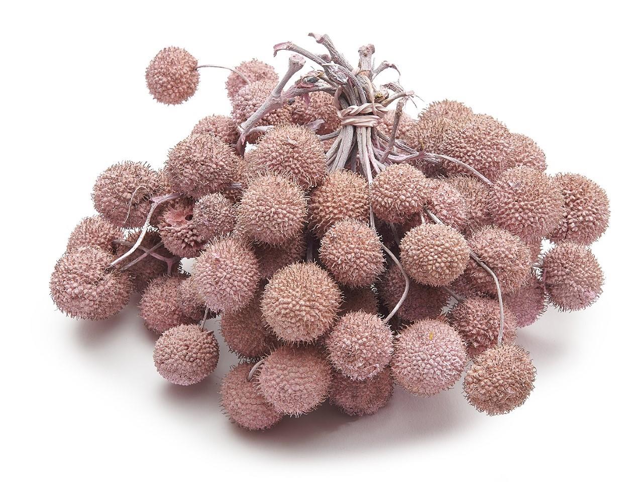 Platanenfrüchte hellrosa 250gr.