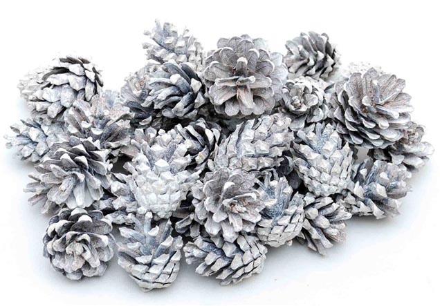 Zapfen Silvester white washed 1kg