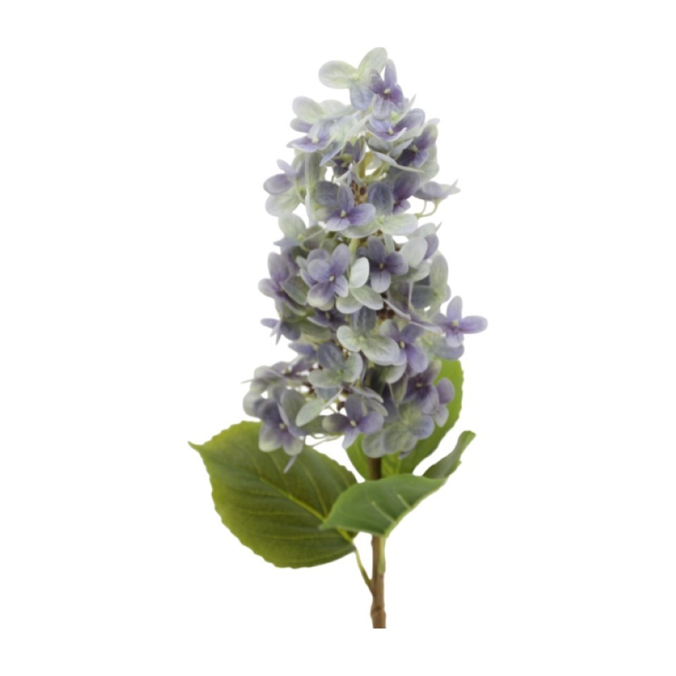 Rispenhortensie 60 cm blau