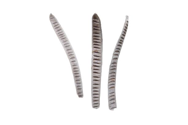 Leiterschote/Machete D4-5cmL30-40cm white washed